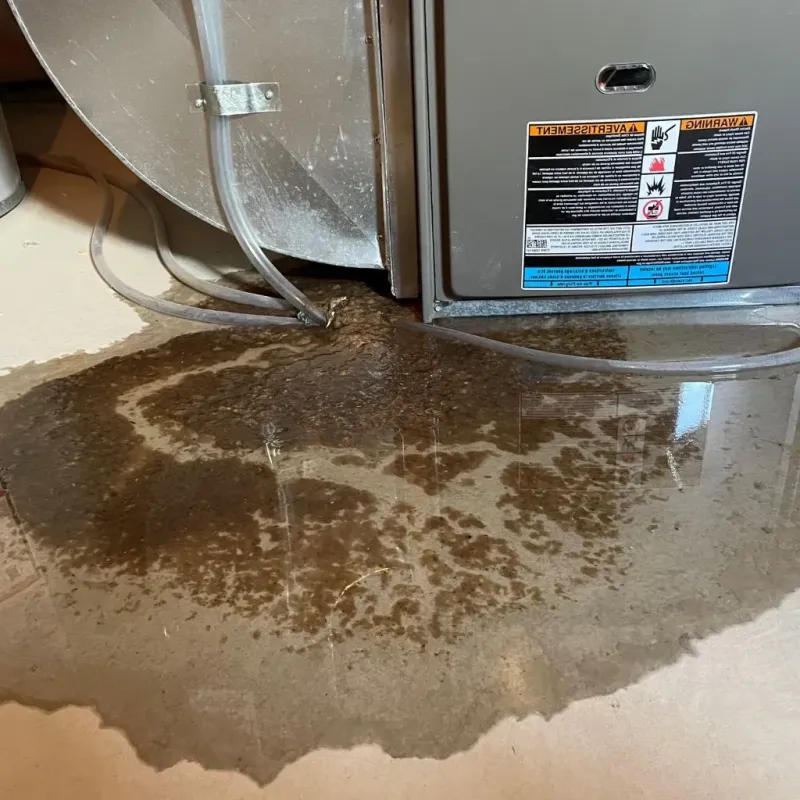 Pipe Burst and Leak Restoration in Progress, PA