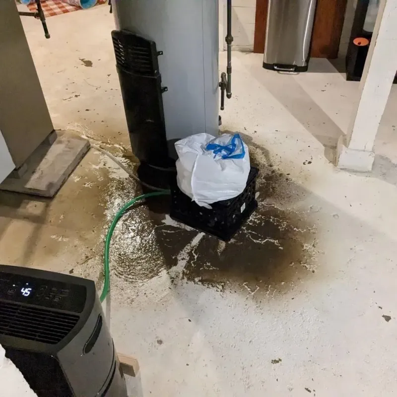 Sewage Backup Cleanup Service in Progress, PA